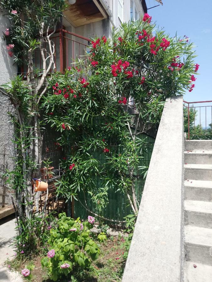 Charming Hill Apartment Opatija Exteriör bild